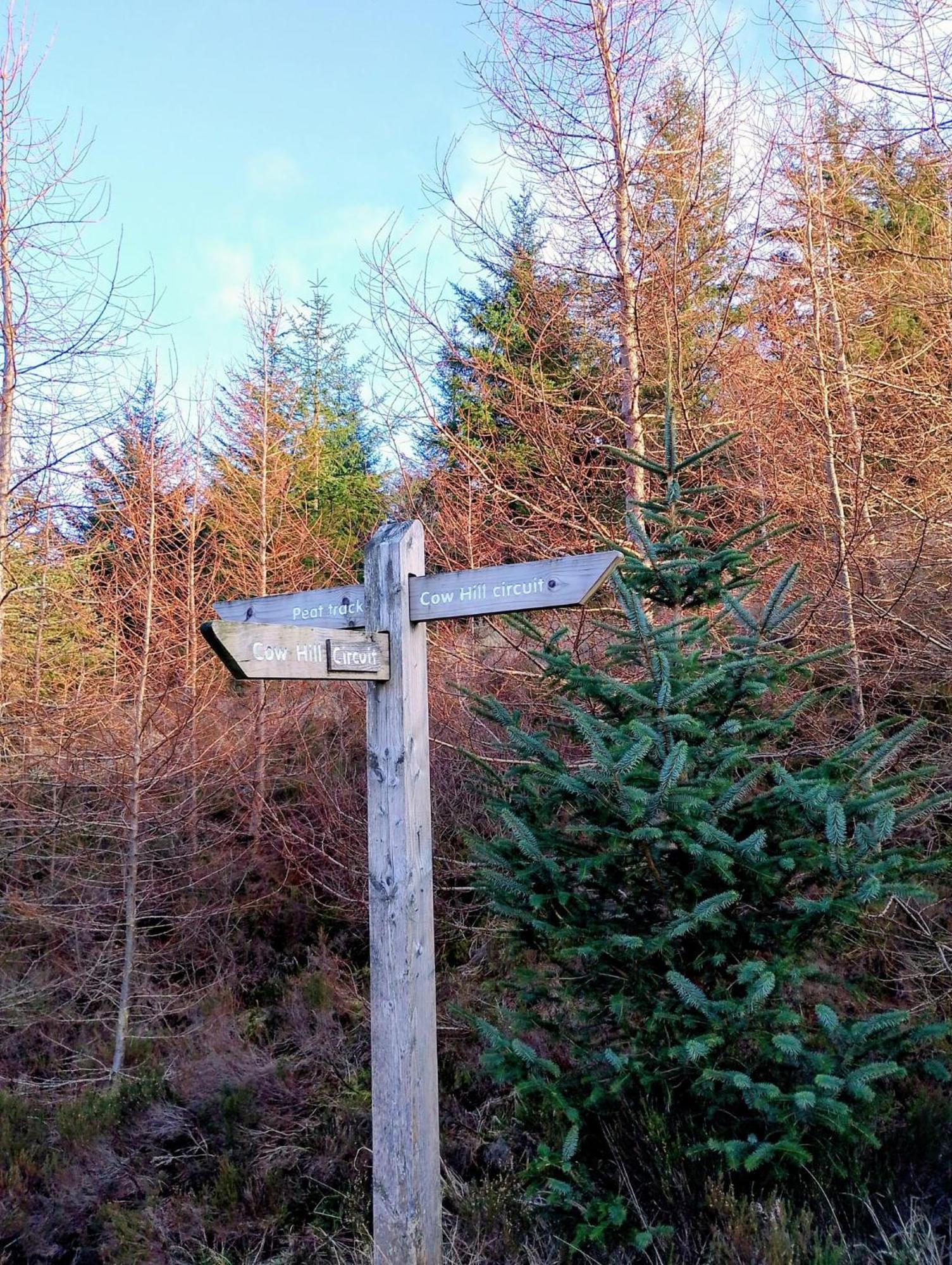Smiddy House Bed & Breakfast Spean Bridge Dış mekan fotoğraf